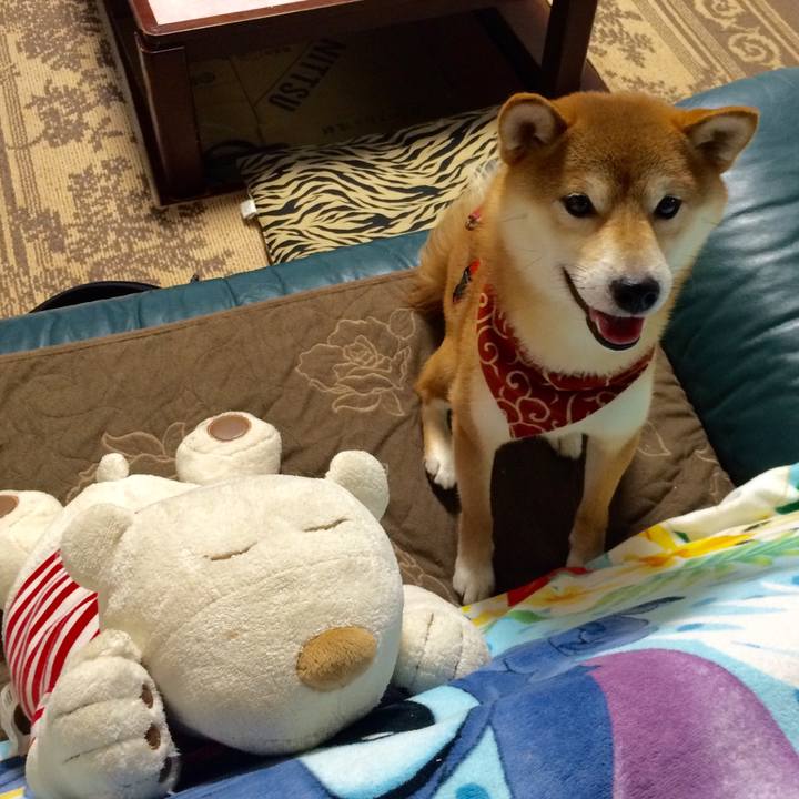 B8cbbf00 a0d0 4044 96ad 5756669bb946