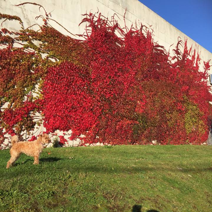 B8cc40f1 3792 4828 82f1 4f28f48d1ece