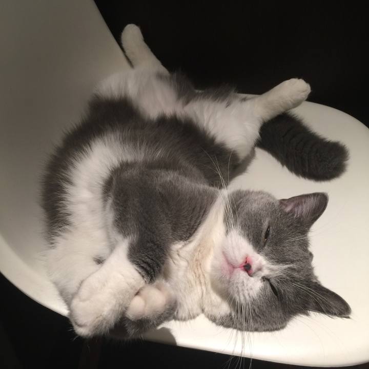 B8cc8625 872a 4a10 a273 bce97f090b72