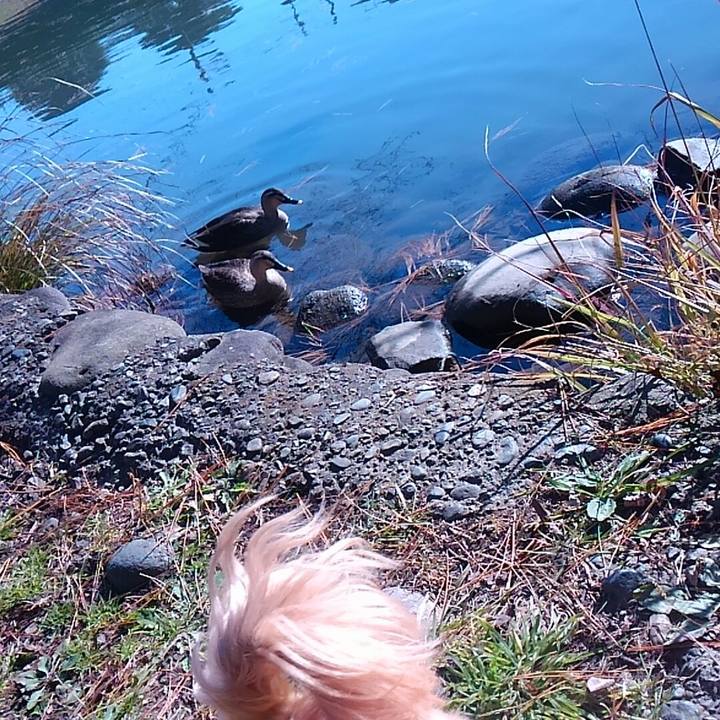 B8cca6e9 55a7 46f3 b692 44251e66faf2