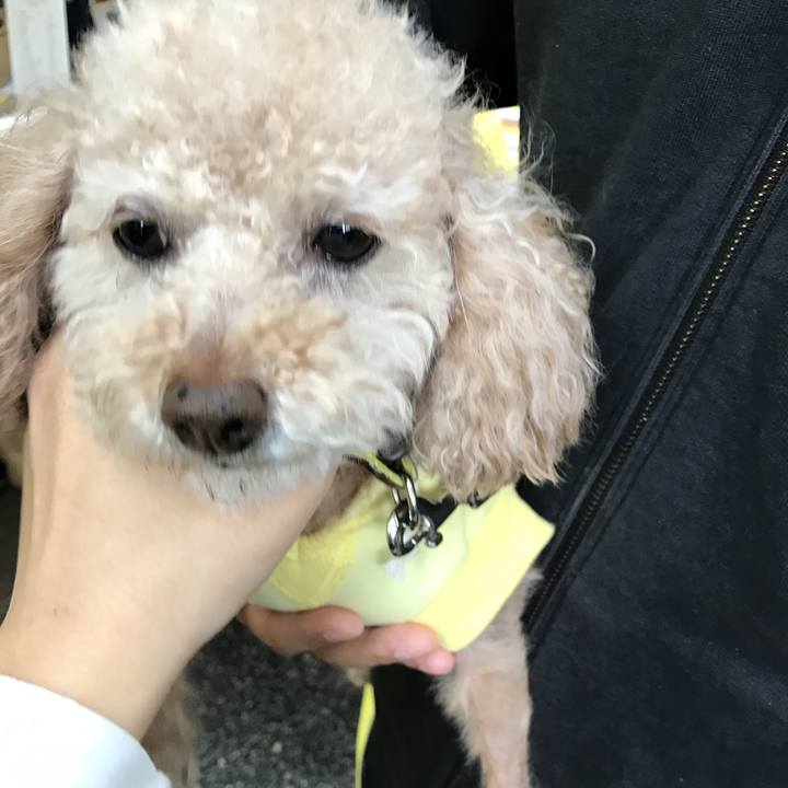 B8cd13a7 e080 41c4 afc6 a3734cde9b80