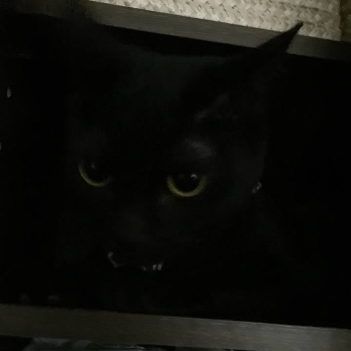 B8cd357f 5cc1 4e21 9f98 9d20677955d7