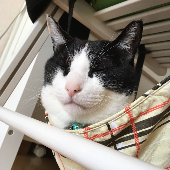 B8cd3c6c 8ff6 435d a13b 0989323c17b4