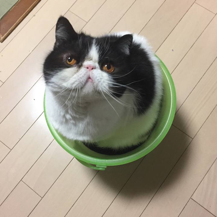 B8cdccf5 332c 488d 85dc d1b733da4ef6