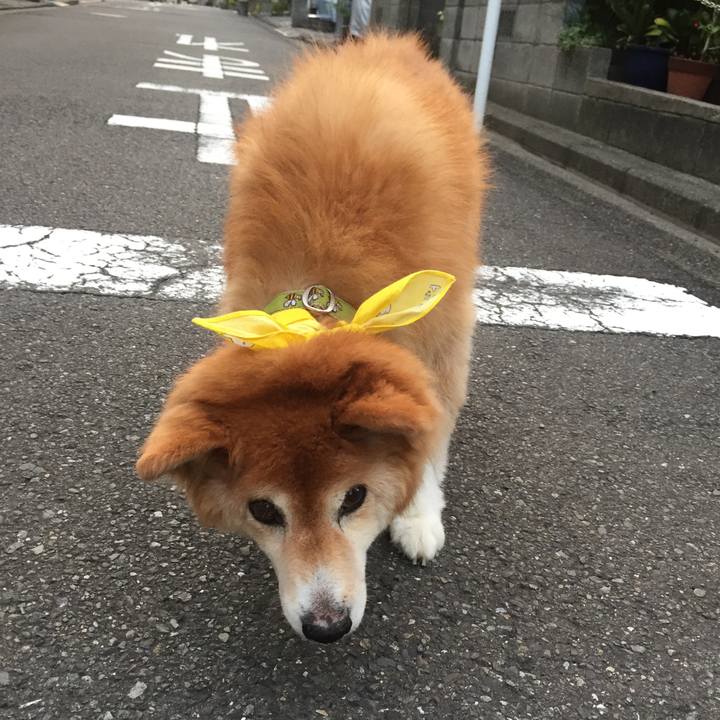 B8cdd890 17d2 451b 8314 c2f9b94731f3