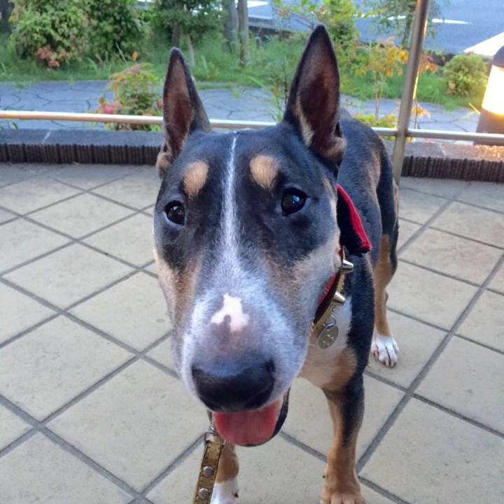 B8cde7fc f649 4f81 982e 7d6508a15c7e