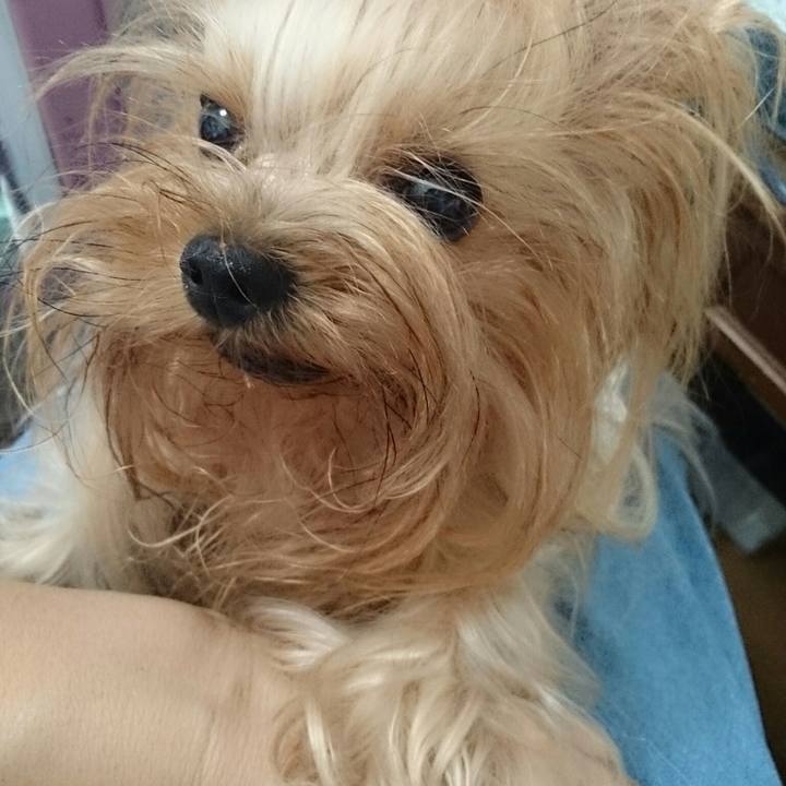 B8ce446c 3c9b 47e8 af61 052101e1fe06