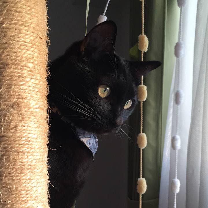 B8cea575 f0ac 4773 96e1 7b874e7353af