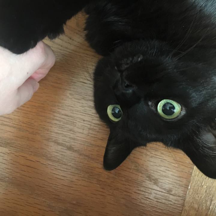 B8cead11 4748 4267 8ef5 d00bd947bd5c