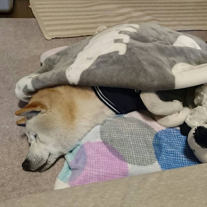 B8cf99ca 2aa2 4266 8462 915eb04171c3