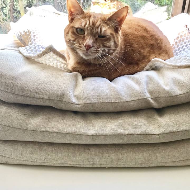 B8d05a08 146b 42a2 ae51 1e6bd47e8391