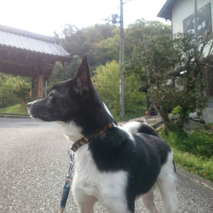 B8d0b81a 7a6b 49fb bdf9 032fff225ee8