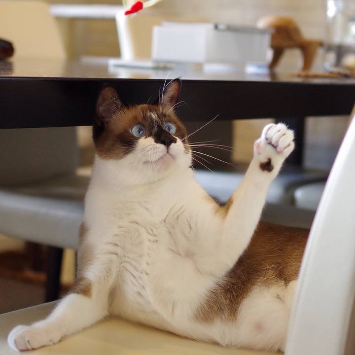 B8d0df41 a9f3 437d b21d 0986ccf4f003