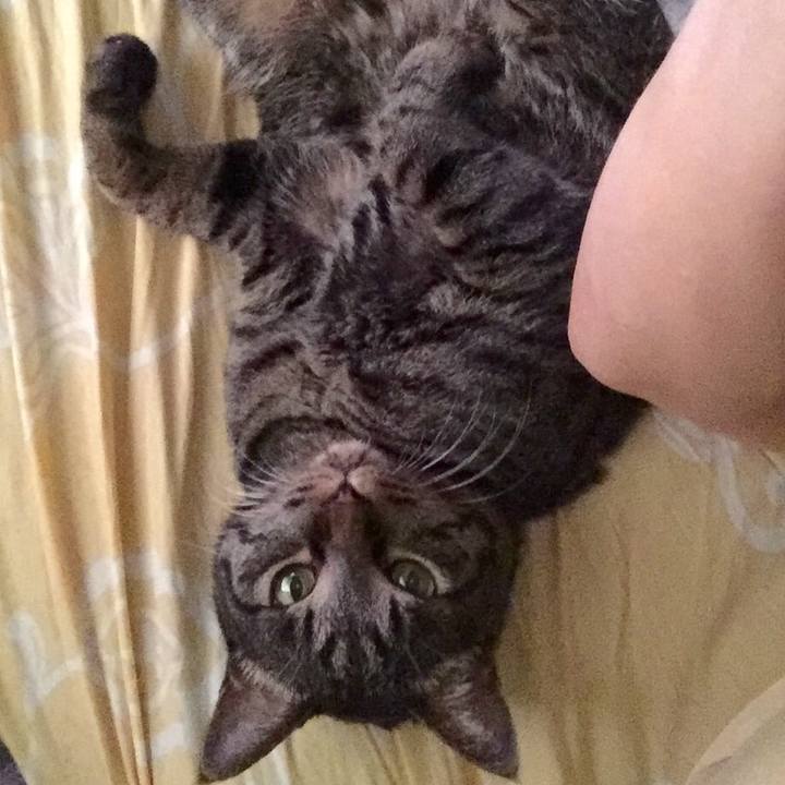 B8d19558 4e86 40da a73d 0d0bd971692c