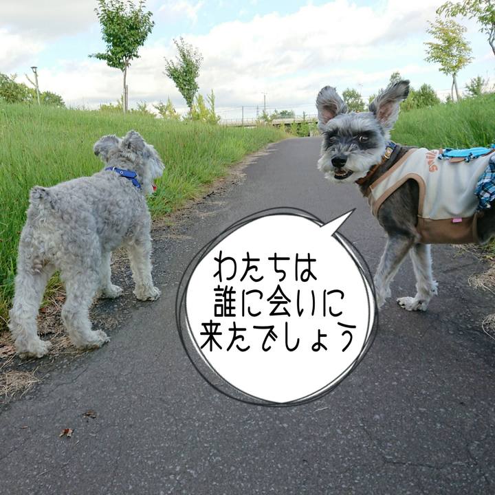 B8d22e95 0a48 42b5 a609 50fbba739479