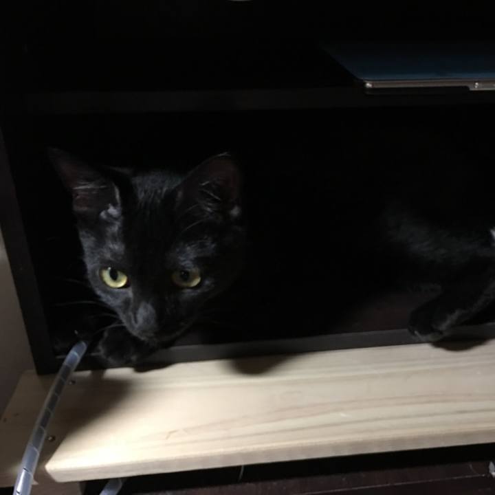 B8d23a8d 8a16 4cf7 89b9 cc19b29fc475