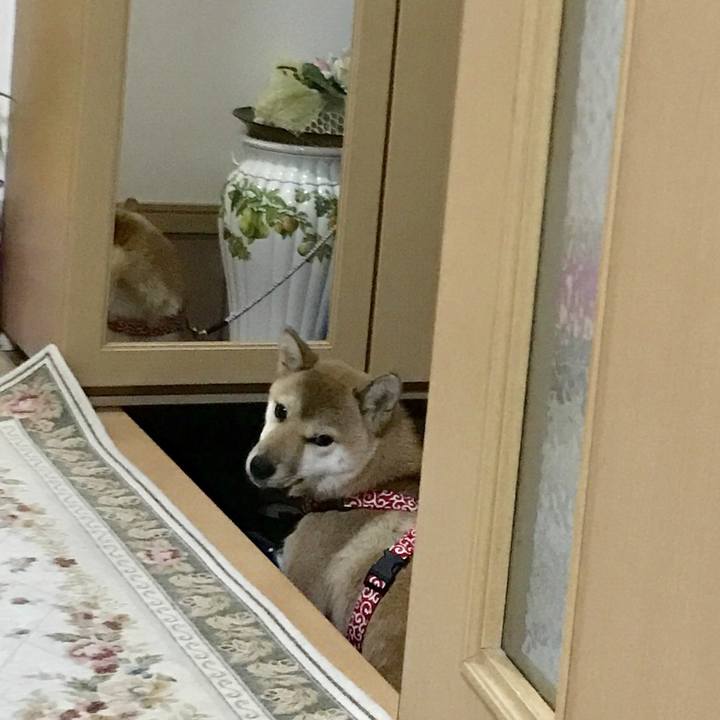 B8d2a45f c82e 47e8 8cbf 24fd9db8ef37