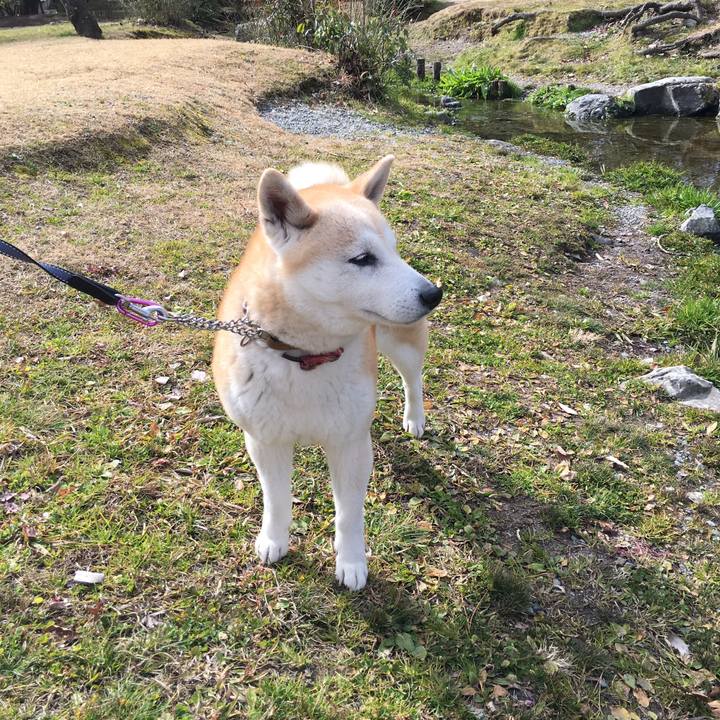 B8d2e351 2f26 48e9 84e3 215f6cfd03a5