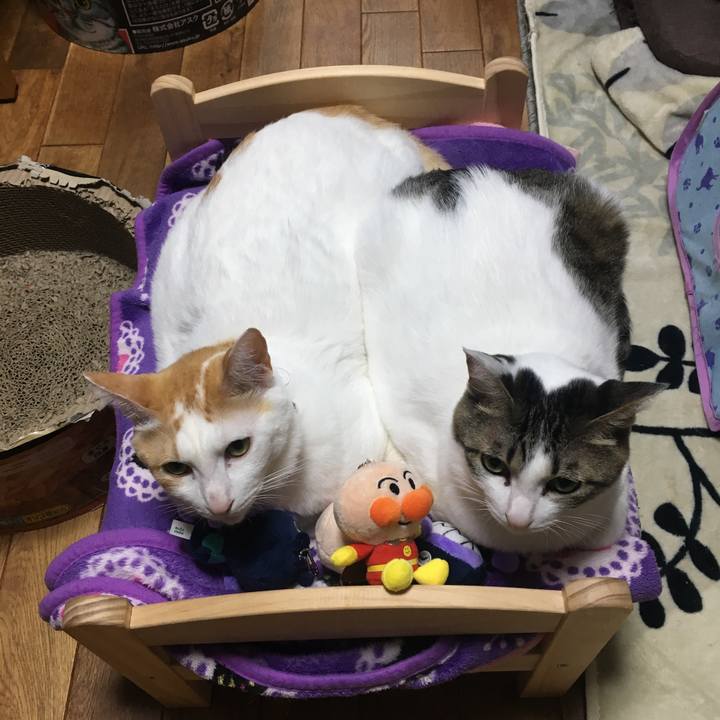 B8d31dd6 3b06 46af b3d6 098ea3e5df9c