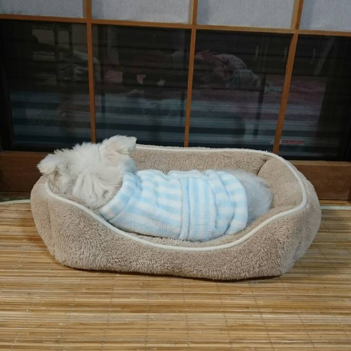 B8d33dbb 4ba9 41fa 95cd db26a856f083