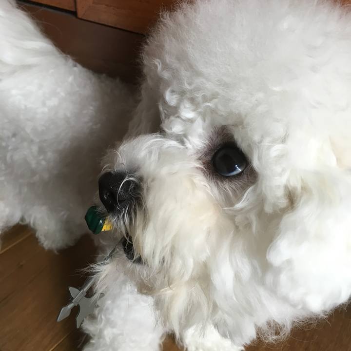 B8d34651 8007 44f4 ae3b 8ad2638e3709