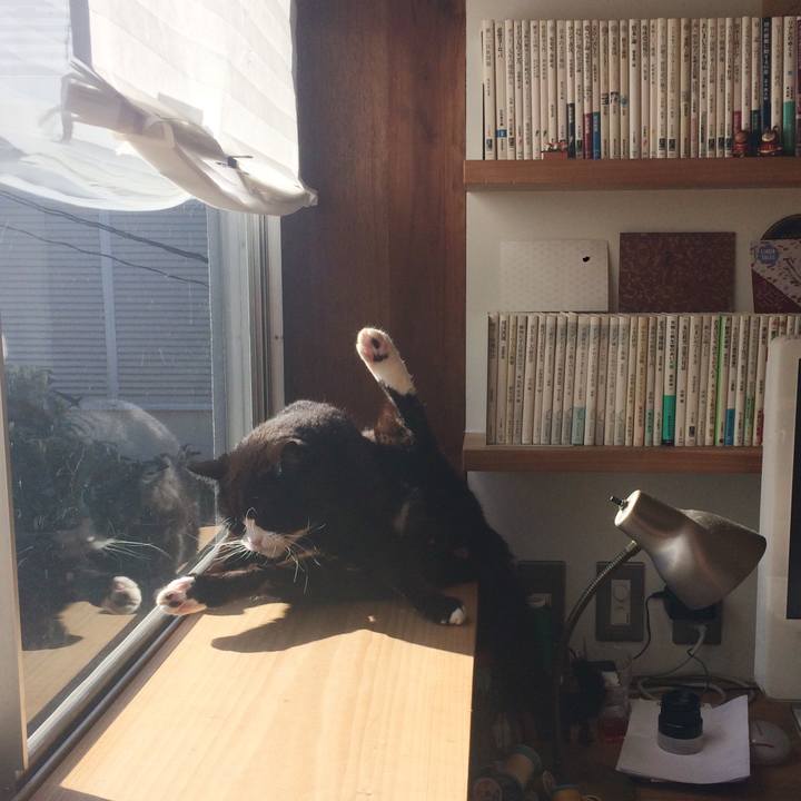 B8d3dc74 33d9 42ac 9156 5d7b5c8f2c43