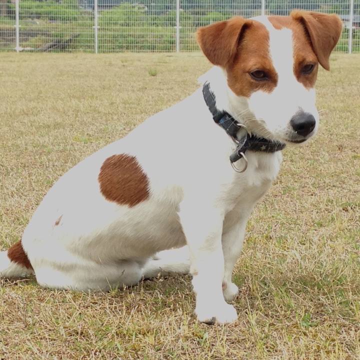 B8d472ef 9e03 440f 9be1 cf1afd424f33