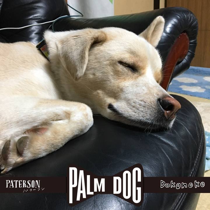 B8d53cdd 9d21 40ff a321 659c4a2a2479