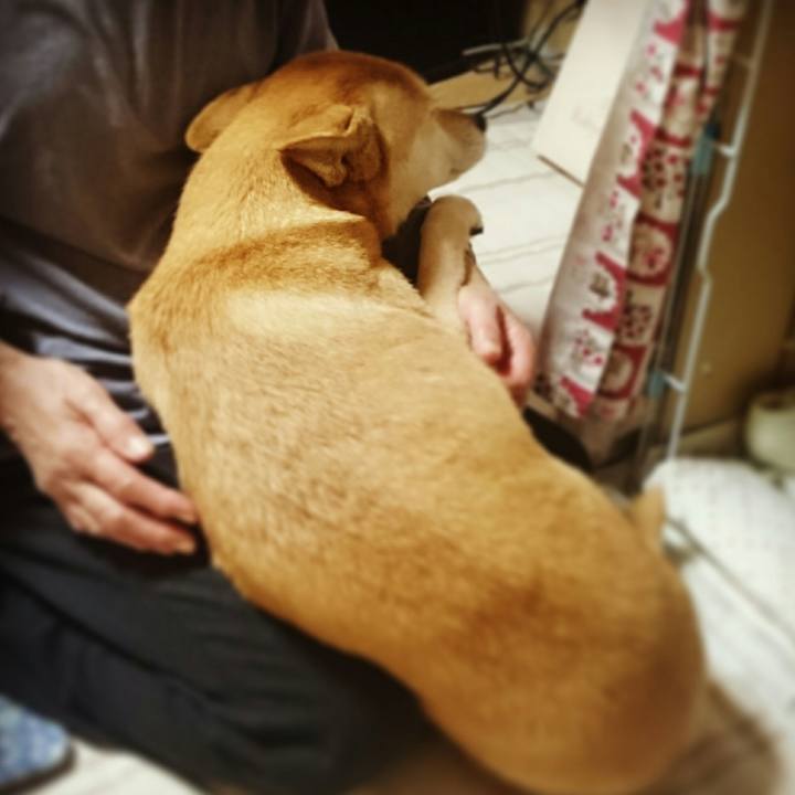 B8d5f0cf d415 4ccd 9dba b278cd409dbe