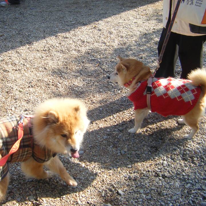 B8d5f5c7 60b6 4628 bde5 644f2a6f2492