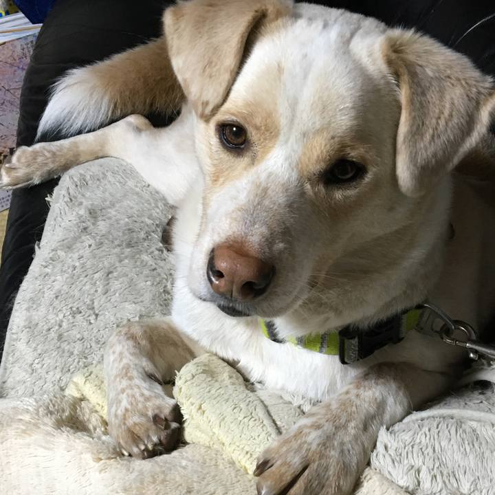 B8d68c19 ac8f 471b 99e9 d1a05b86a8cf