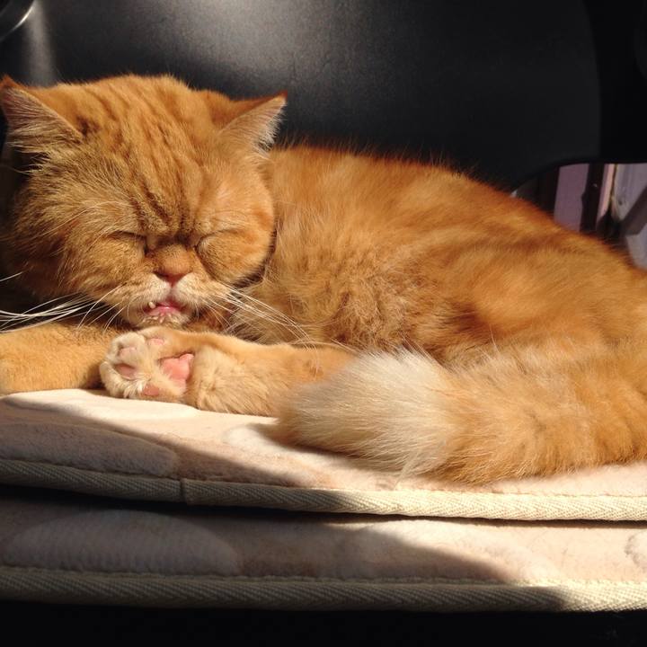 B8d7acd4 cfc4 4806 8806 8515330d688f