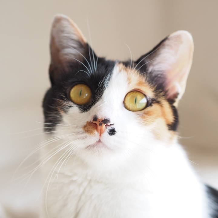 B8d8515b 06a9 45ad be34 d94bd57c4cd6