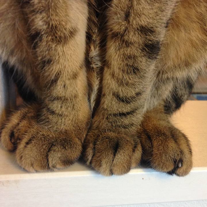 B8d89482 1b61 4b55 adee b3de8ec0b871