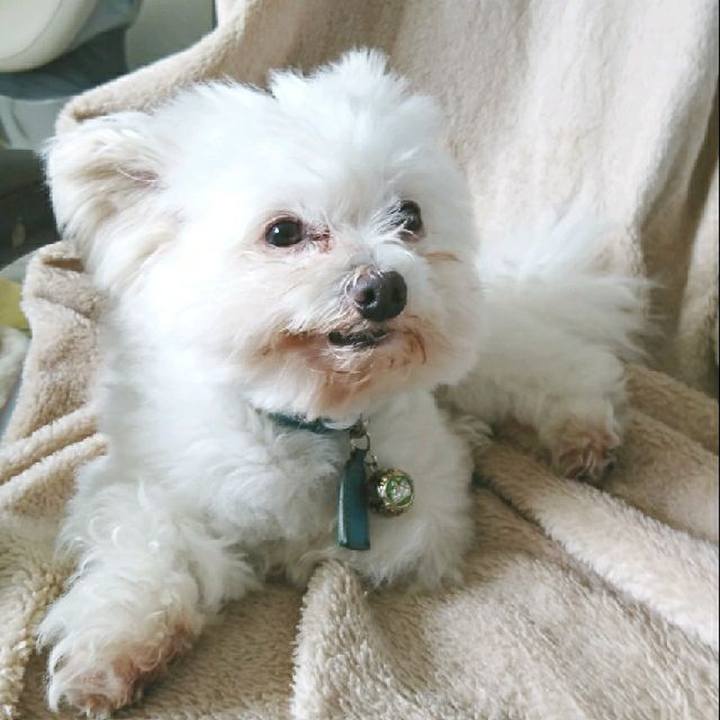 B8d89b1a 2714 4c9d b954 c78dbf2bcca9