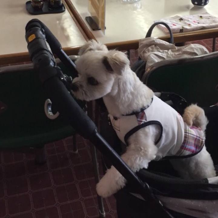 B8d8b14c 291d 4910 b1d2 7a83bf3628e0