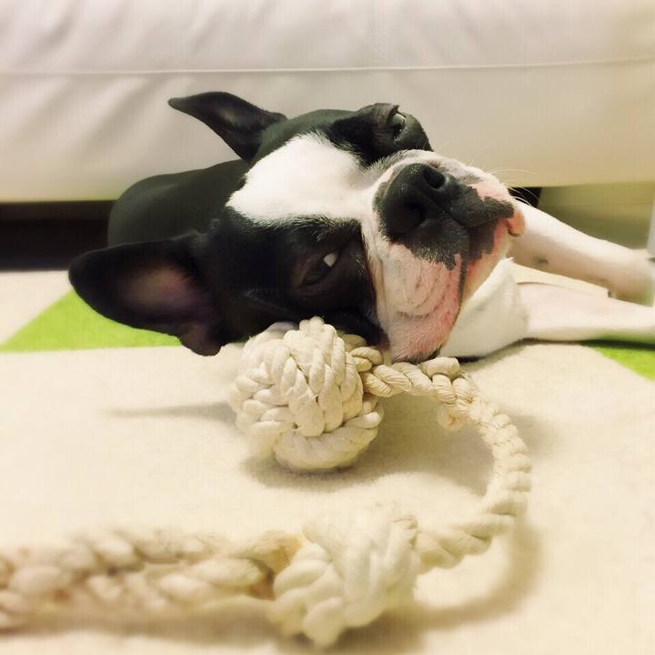 B8d8ed19 f2af 4095 a647 7e9a04c334e7