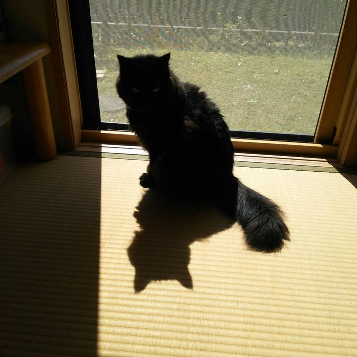 B8d97e6d 8dc4 4900 8c97 ec6d5137bb3a