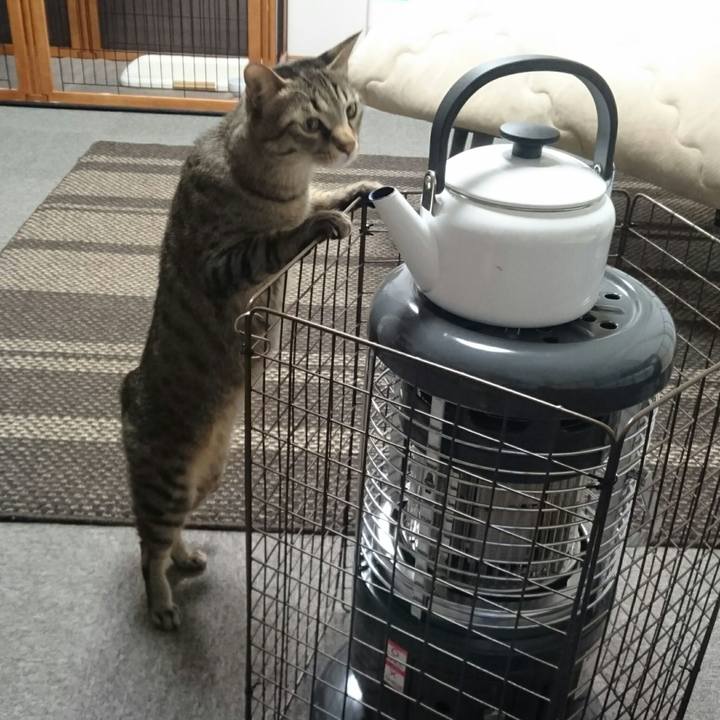 B8db00bc 36e5 4afc 8541 e441836fdd39