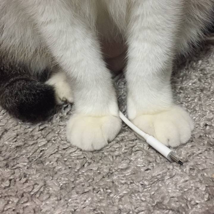 B8db78f6 1e22 411a 8c76 831dc966abce