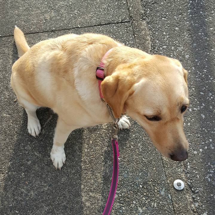 B8dba786 25a0 41d8 9dd1 8399b74d4501