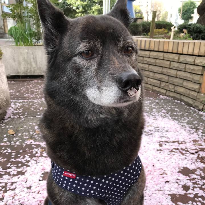 B8dbbc84 ac11 4867 b483 ba0e8aa1f589