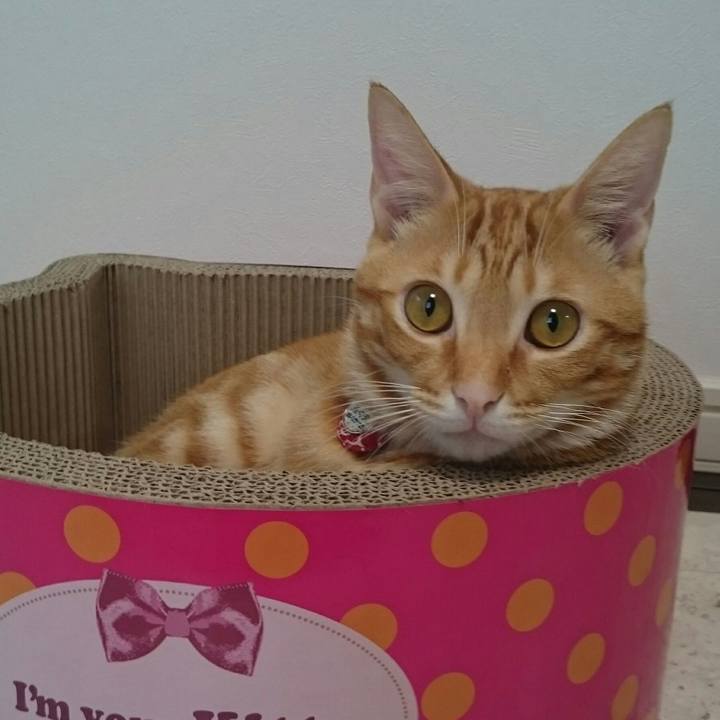 B8dc062d 5a4e 4062 9217 36fd3778ed54