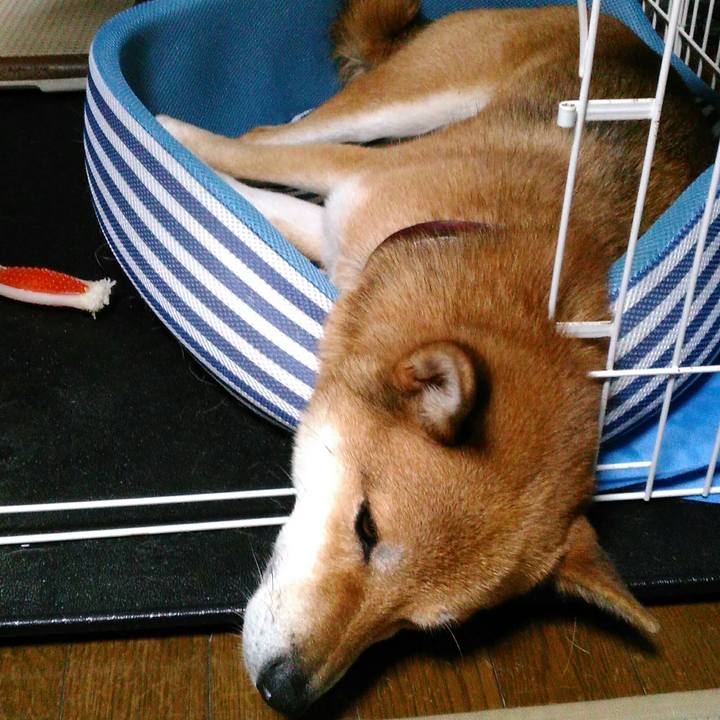 B8dc0ec6 2607 4bc5 8657 7a7abbd89b08