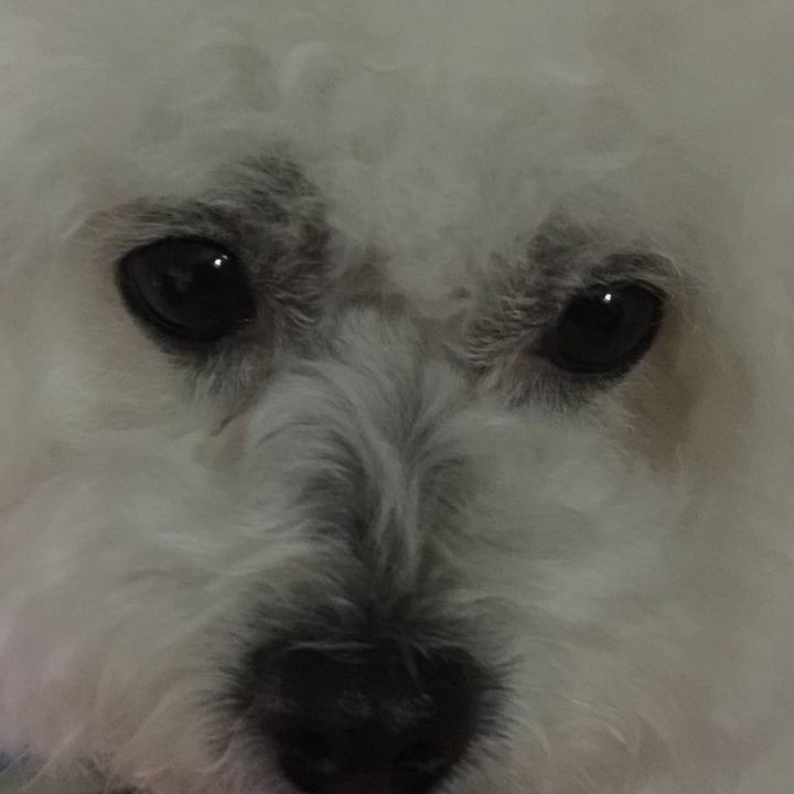 B8de10e2 71ee 4949 ac3b a951f17a0bea