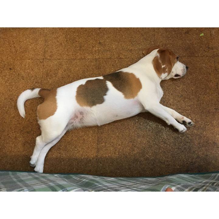 B8de3219 bd64 45fa b5e8 84d33a9c7848