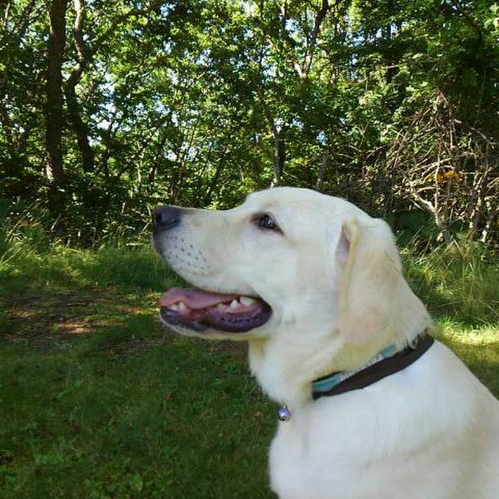 B8ded695 acbc 4643 965a 1e0303ad47e4