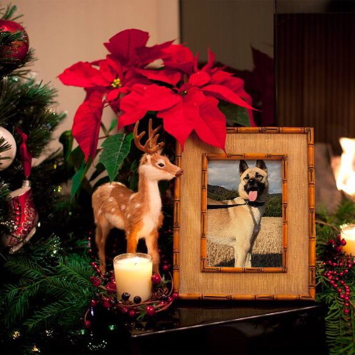 B8df6391 7ac2 4abc aa3a 8da54cc5eda4