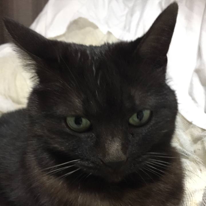 B8df9dda a102 4707 b355 918fbec6d01b