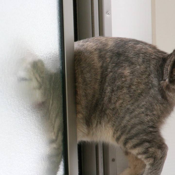 B8dfbbeb 3e1f 4f93 8316 4b0cc4615f55